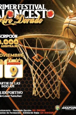 festival-baloncesto-aro-dorado