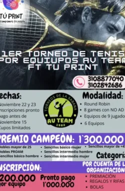 torneo-tnis-equipos-team