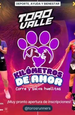 kilometros-de-amor-toro-valle