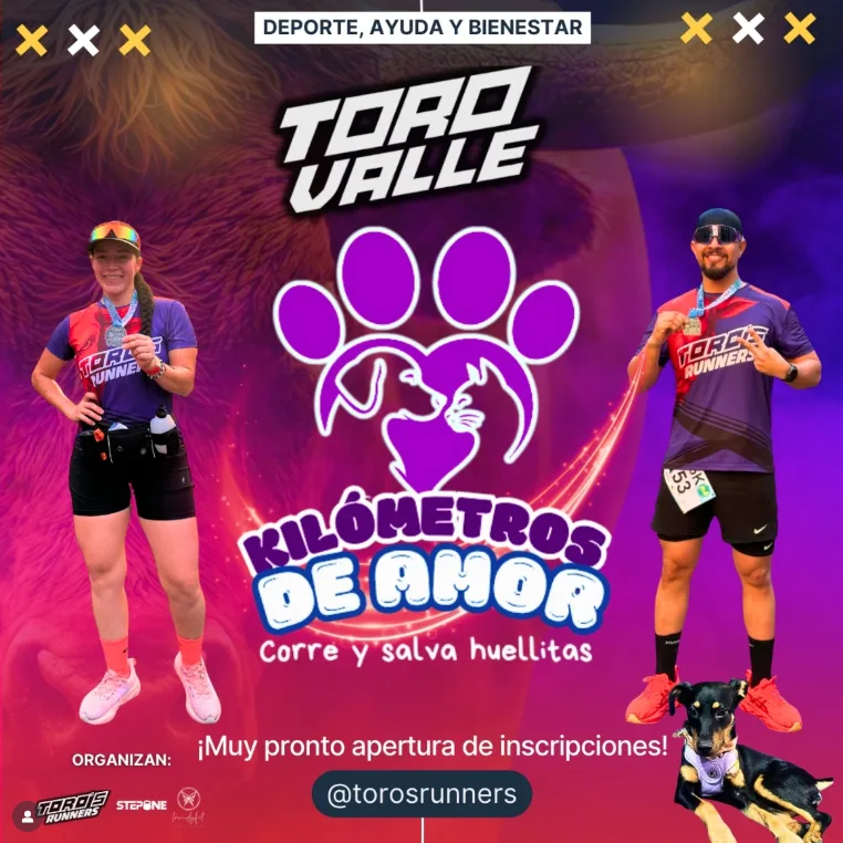 kilometros-de-amor-toro-valle