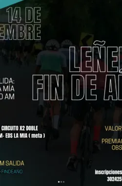 lenero-fin-de-ano-meta