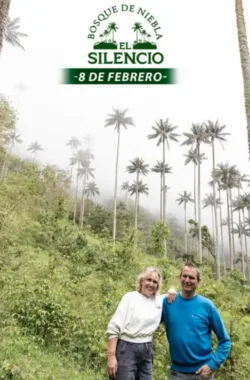 caminata-bosque-de-niebla-el-silencio