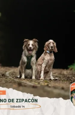 caminata-camino-zipacon