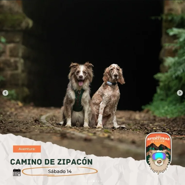 caminata-camino-zipacon