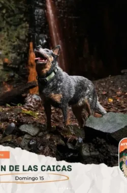 caminata-canon-de-las-caicas