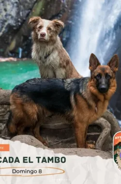 caminata-cascada-tambo