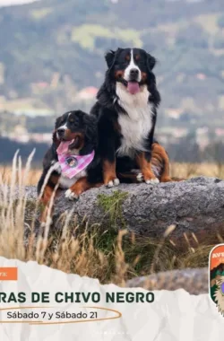 caminata-piedras-de-chivo-negro