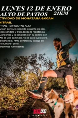 canicross-caminata-alto-de-patios