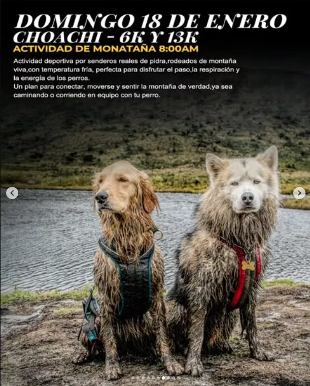 canicross-caminata-choachi