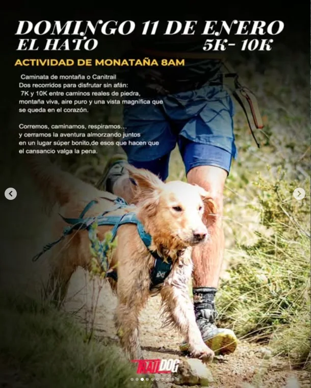 canicross-caminata-el-hato