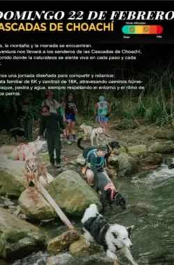 canitrail.cascada.choachi-traildog