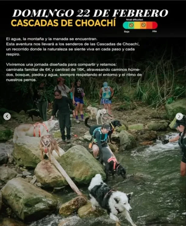 canitrail.cascada.choachi-traildog