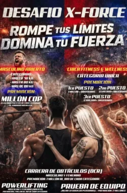 desafio-x-force