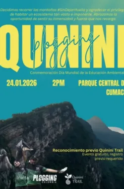 quinini-plogging