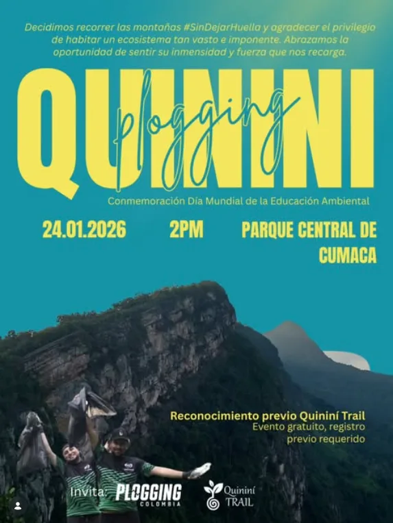 quinini-plogging