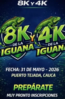 8k-de-la-iguana