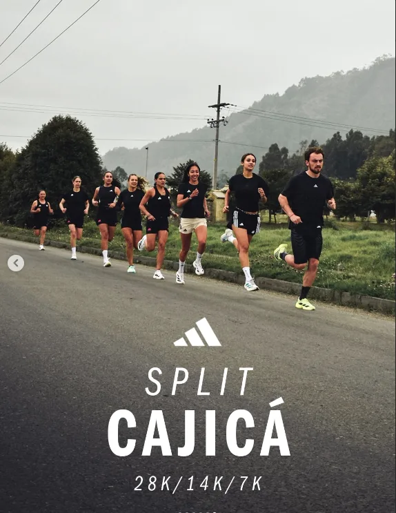 adidas-split-cajica-noviembre