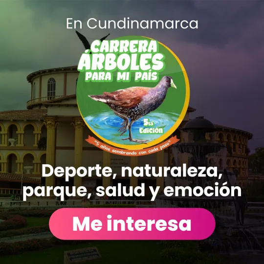 carrera árboles para mi país