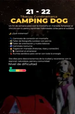 camianta-canitrail-camping-dog-tibacuy