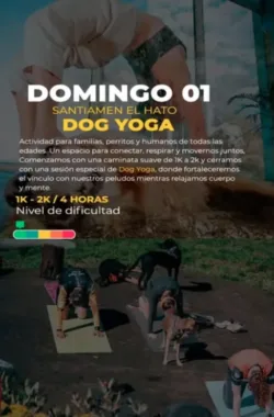 caminata-canitrail-santiamen