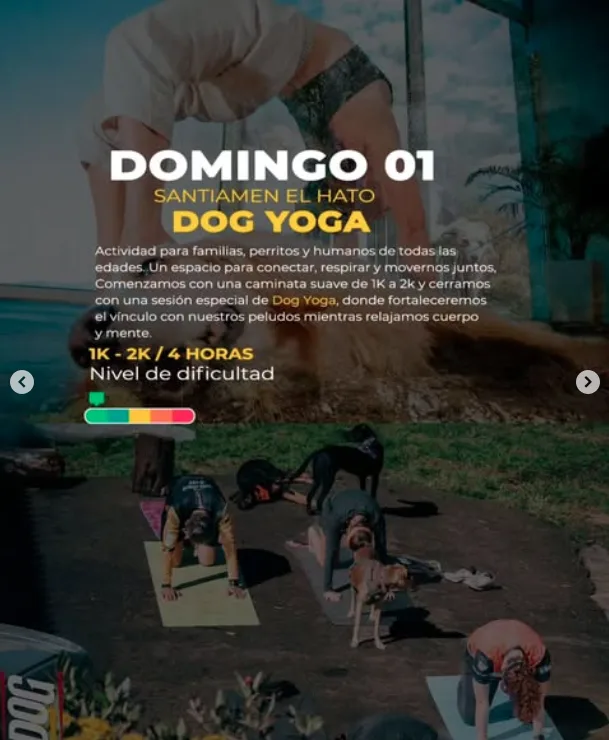 caminata-canitrail-santiamen