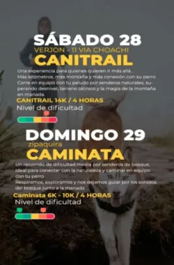 caminata-canitrail-verjon