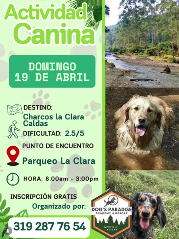caminata-canina