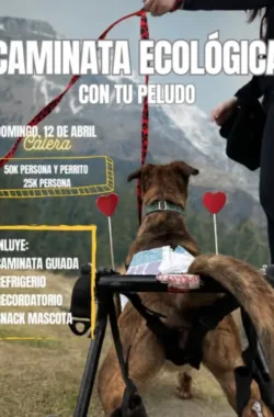 caminata-ecologica-peludo