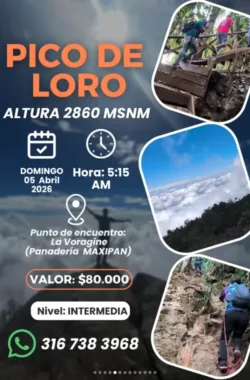 caminata-pico-de-loro