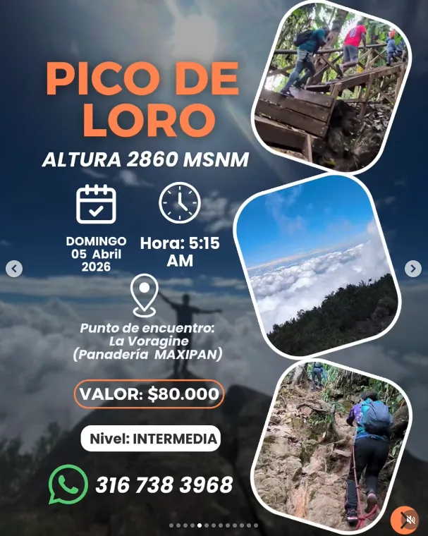 caminata-pico-de-loro