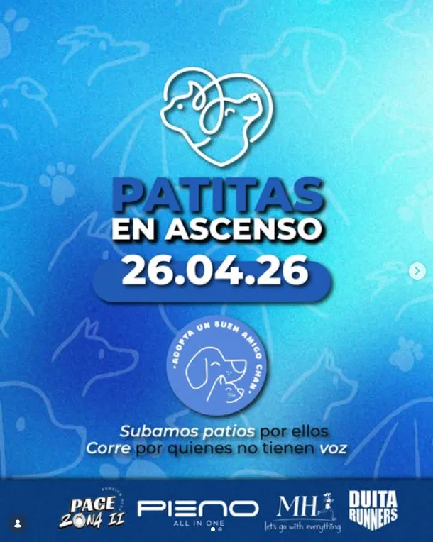 patitas-en-ascenso