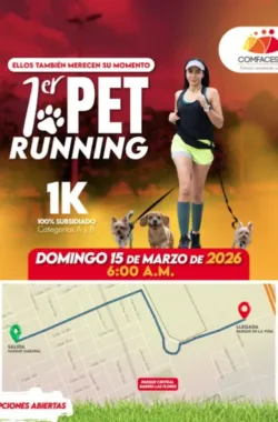 pet-running-comfacesar
