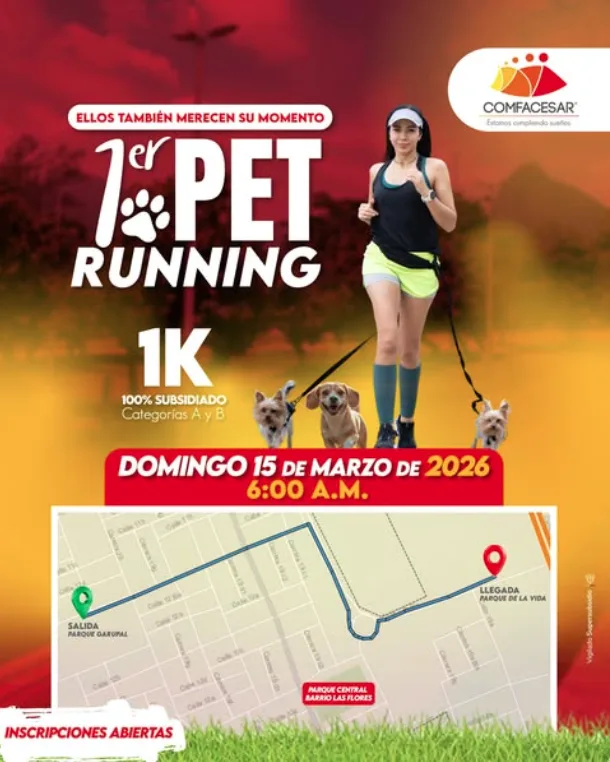 pet-running-comfacesar