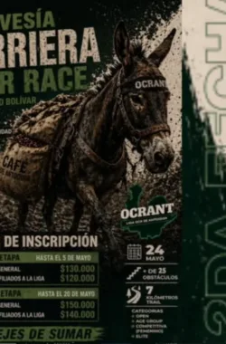 traveis-arriera-ocr-race