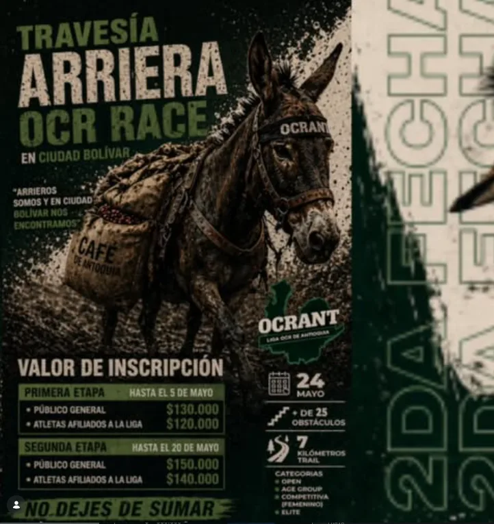 traveis-arriera-ocr-race