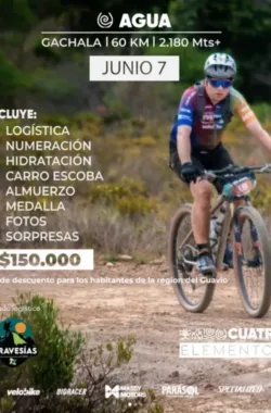 cuatro elementos