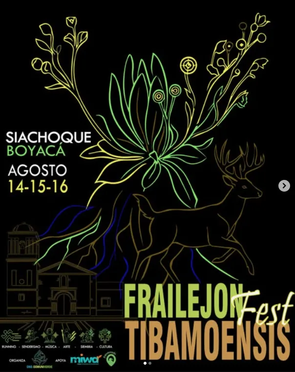 frailejones-fest-tibamoensis-siachoque