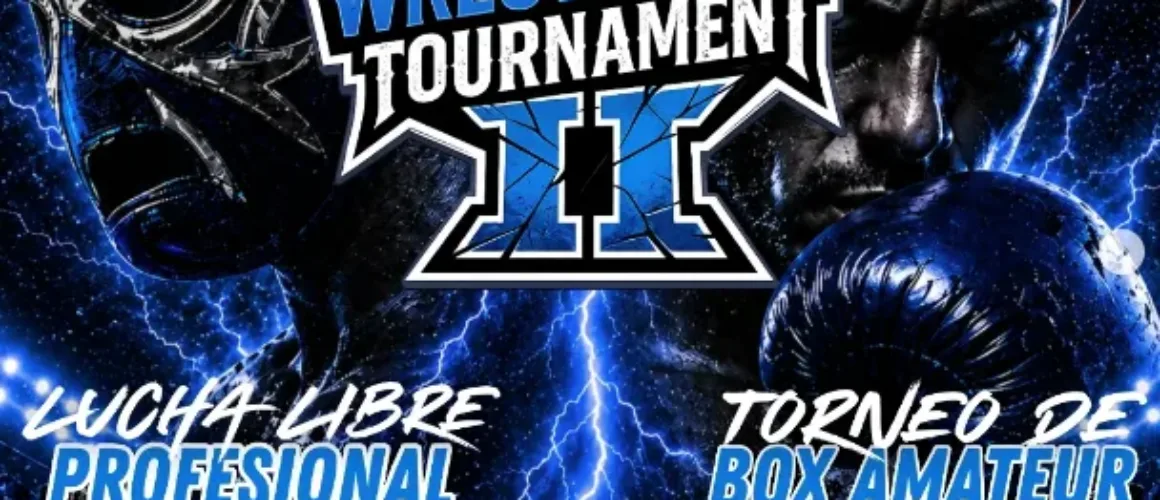RDG Ultimate Wrestle box