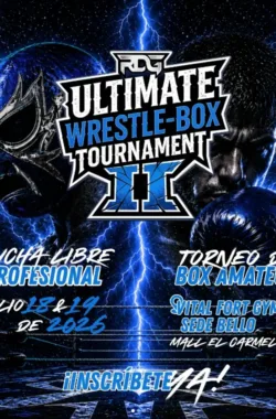 ultimate-wrestle-box-tournament
