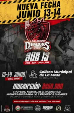 liga-andina-dragons-sub-13
