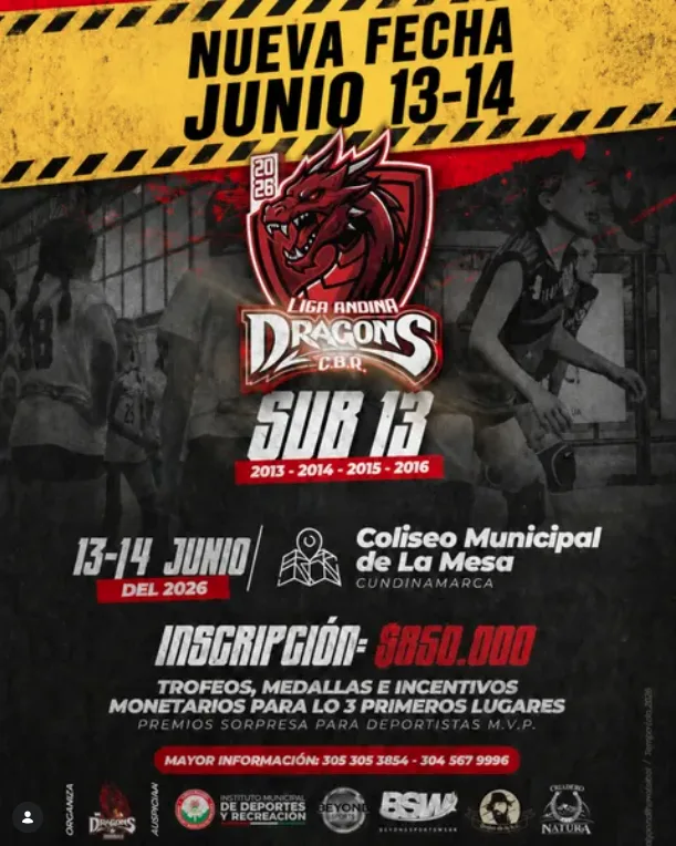 liga-andina-dragons-sub-13