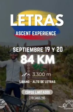 letras-ascent-experience