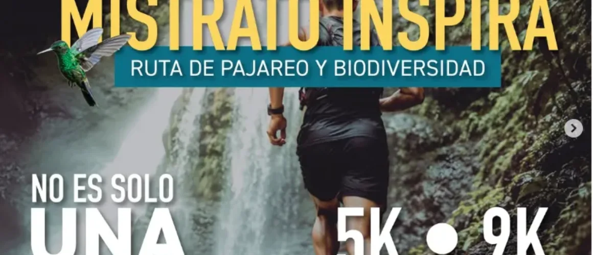 Mistrato inspira