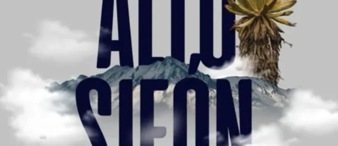 Alto del sifón
