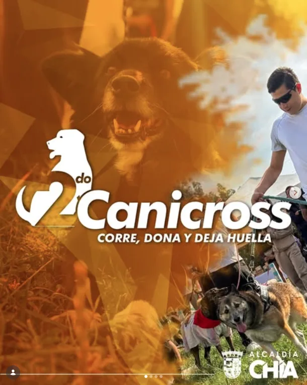 canicross-chia