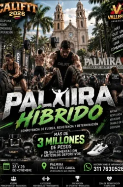 palmira-hibrido