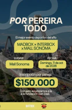 por-pereira-todo