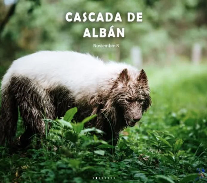 caminata-cascada-de-alban-noviembre