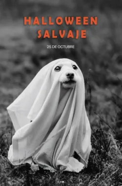 caminata-halloween-salvaje