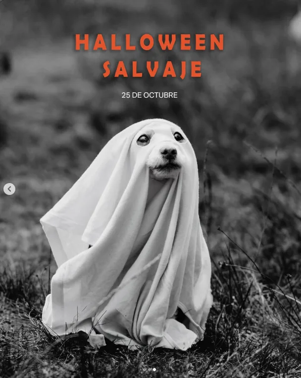 caminata-halloween-salvaje